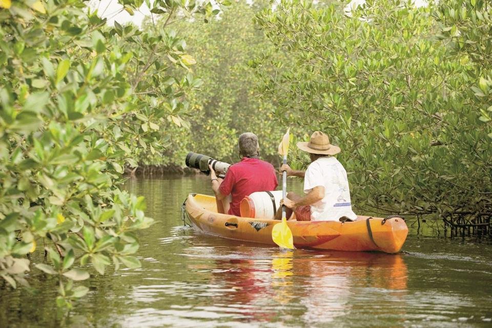 Une pirogue dans les bolongs du Saloum